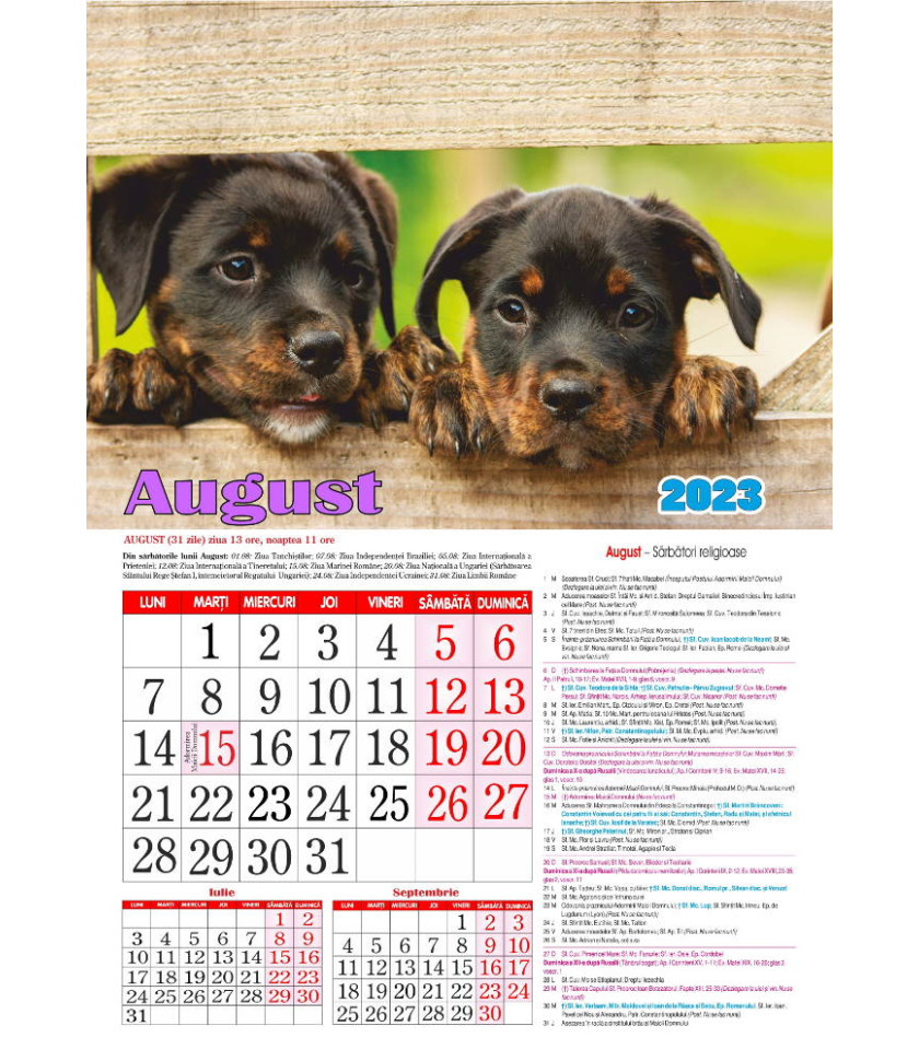 CALENDAR Animale si pasari 2023 CALENDAR Animale si pasari 2023