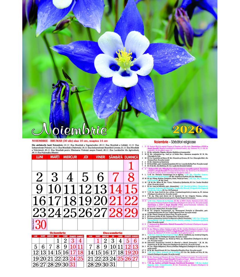 CALENDAR Flori 2026 - CALENDAR CU SPIRA FORMAT A3 CALENDAR Flori 2026 - CALENDAR CU SPIRA FORMAT A3