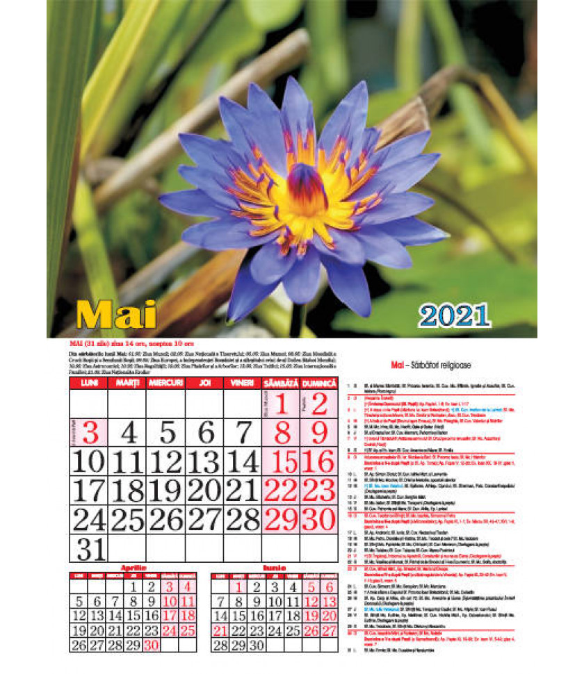 CALENDAR Flori 2022 - personalizabil CALENDAR Flori 2022 - personalizabil