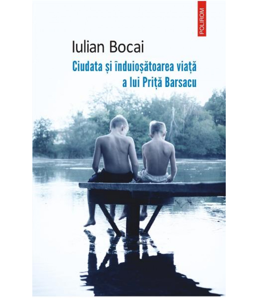 Ciudata si induiosatoarea viata a lui Petrita Barsacu - Iulian Bocai Ciudata si induiosatoarea viata a lui Petrita Barsacu - Iulian Bocai