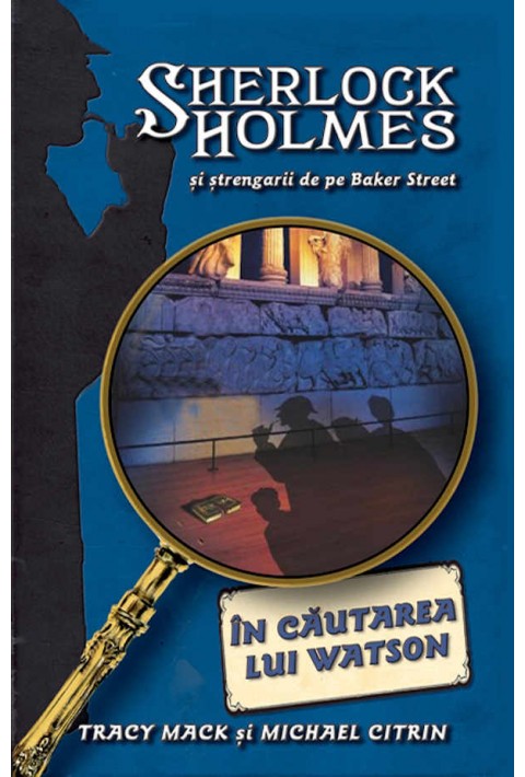 In cautarea lui Watson - Sherlock Holmes si strengarii de pe Baker Street - Tracy Mack