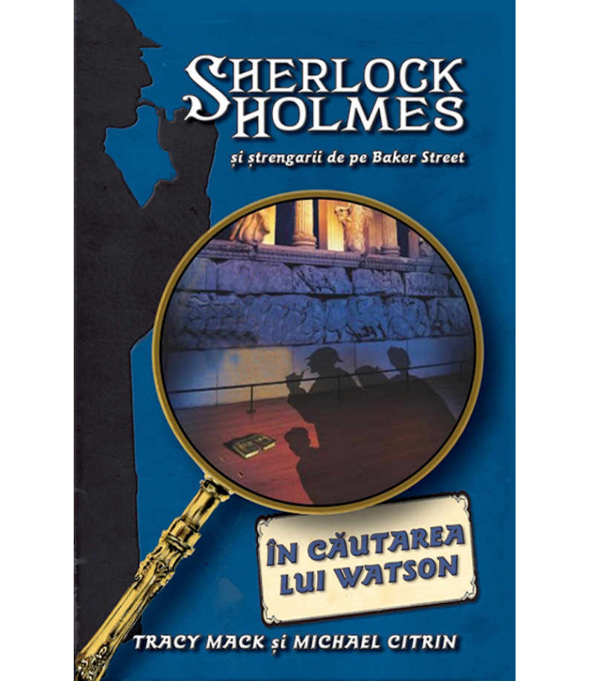 In cautarea lui Watson - Sherlock Holmes si strengarii de pe Baker Street - Tracy Mack