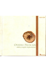 Zilele si noptile dupa-amiezei