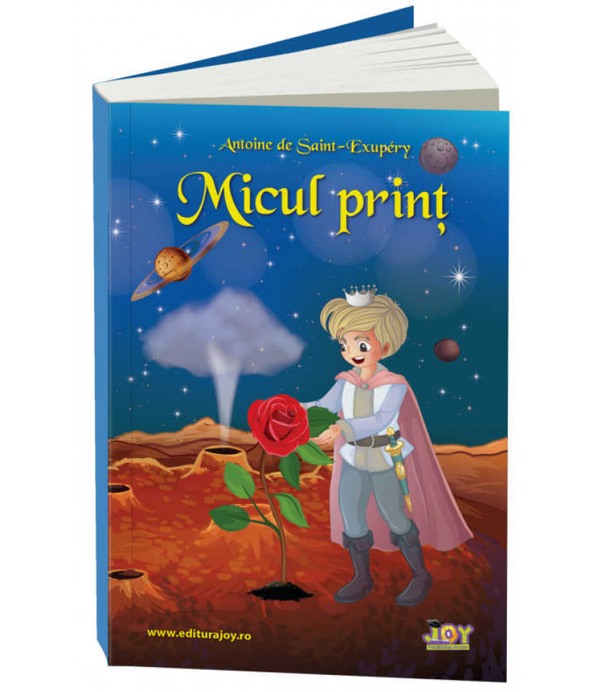 MICUL PRINT - ANTOINE DE SAINT-EXUPERY