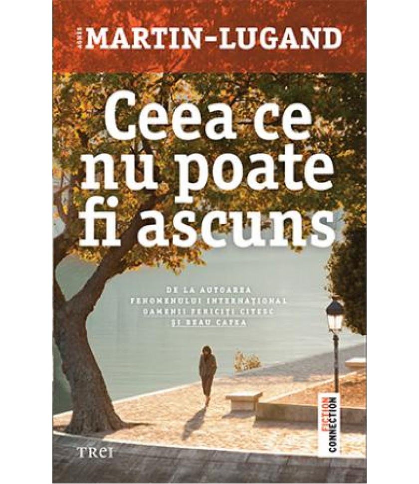 Ceea ce nu poate fi ascuns - Agnès Martin-Lugand