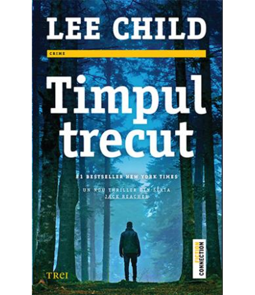 Timpul trecut