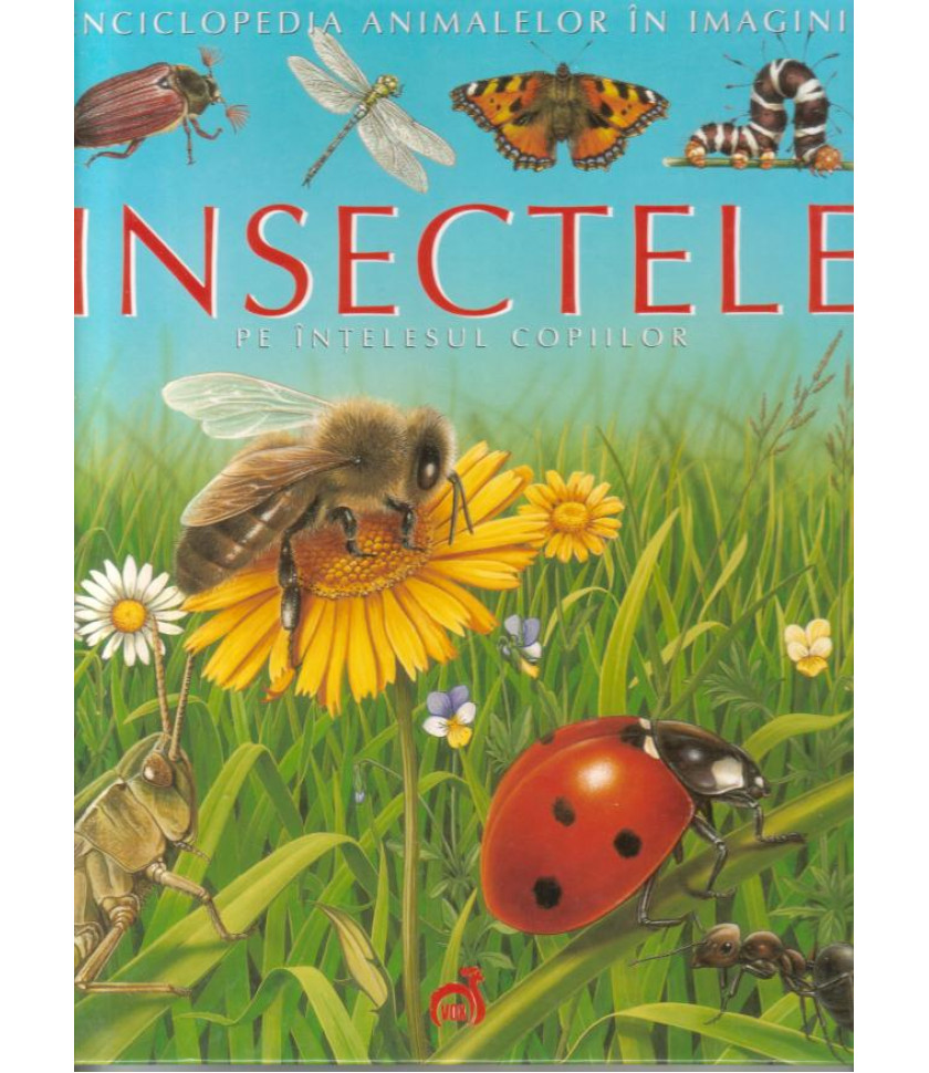 Insectele - Editie ilustrata si cartonata