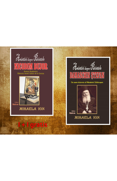Pachet carti Mihaela Ion - Amintiri Nicodim Bujor + Amintiri Damaschin Stefan