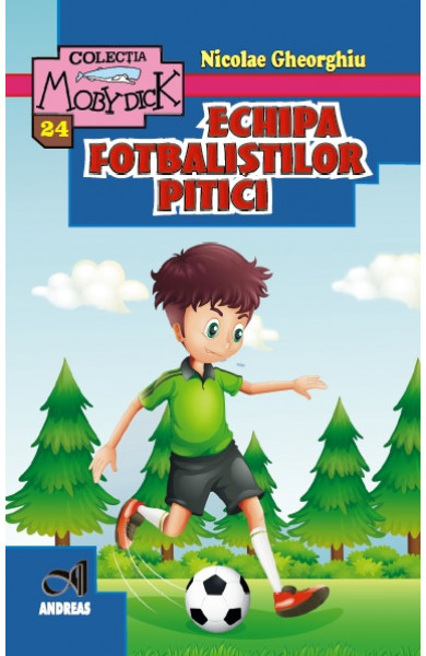 Echipa fotbalistilor pitici - Nicolae Gheorghiu