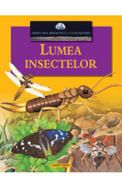 Lumea insectelor