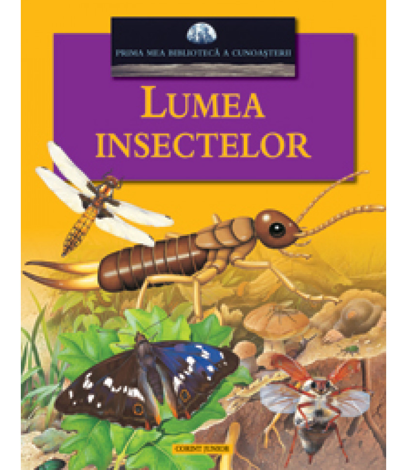 Lumea insectelor