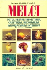 Melci - Dr. Ing. Ioana Tudor Melci - Dr. Ing. Ioana Tudor