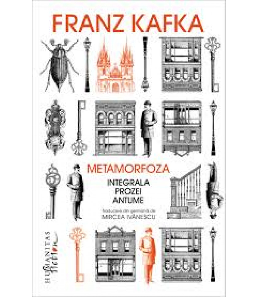 Metamorfoza Metamorfoza