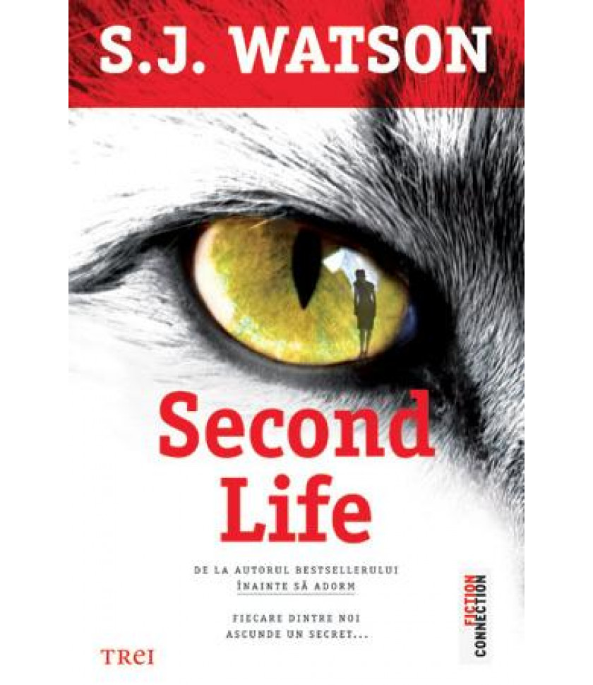Second Life Second Life